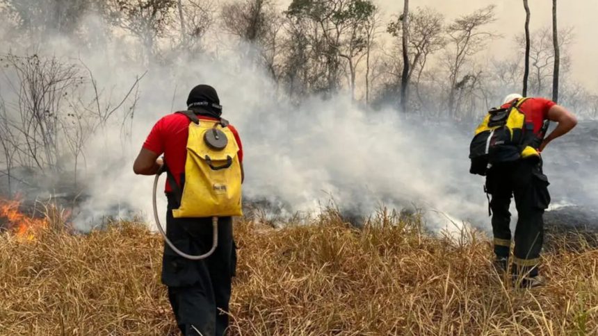 “foco-de-calor-agora-esta-no-sul-da-amazonia”,-diz-presidente-do-ibama