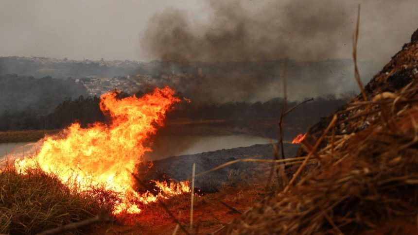 incendios-em-sp:-defesa-civil-diz-que-48-cidades-seguem-em-alerta-maximo