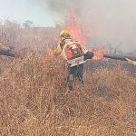 incendio-de-grandes-proporcoes-no-pantanal-atinge-terra-indigena-kadiweu