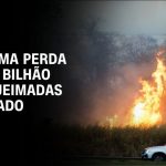 “pesadelo”,-diz-influenciadora-apos-salvar-irmao-de-incendio-em-sp