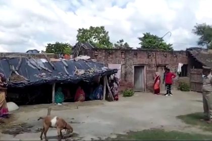 ataques-de-lobos-no-norte-da-india-deixam-7-mortos,-incluindo-criancas