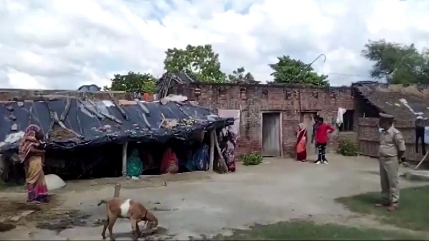 ataques-de-lobos-no-norte-da-india-deixam-7-mortos,-incluindo-criancas