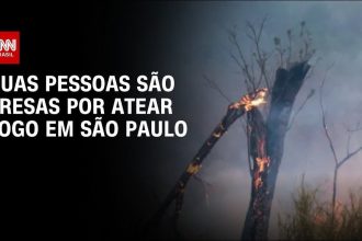 mais-duas-pessoas-sao-presas-por-atear-fogo-em-vegetacao-no-interior-de-sp