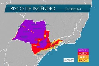 incendios-em-sp:-sete-cidades-estao-com-focos-ativos,-diz-defesa-civil