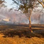 apos-sete-cidades-registrarem-focos-no-sabado,-risco-de-emergencia-para-incendios-e-elevado-em-sp-neste-domingo