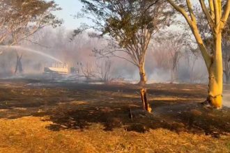 apos-sete-cidades-registrarem-focos-no-sabado,-risco-de-emergencia-para-incendios-e-elevado-em-sp-neste-domingo