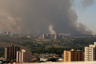 incendio-de-grandes-proporcoes-atinge-a-floresta-nacional-de-brasilia;-df-tem-dia-mais-seco-do-ano