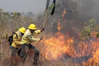 pelo-menos-oito-pontos-de-queimadas-seguem-ativos-em-sp,-alerta-defesa-civil