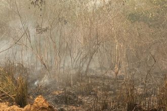 homem-e-preso-apos-provocar-incendio-em-mata-no-para