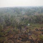 previsao:-fumaca-de-queimadas-na-amazonia-deve-chegar-ao-sul-do-brasil-hoje