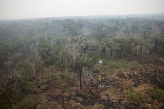 previsao:-fumaca-de-queimadas-na-amazonia-deve-chegar-ao-sul-do-brasil-hoje