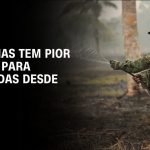 dia-da-amazonia-tem-regiao-sofrendo-com-seca-e-queimadas