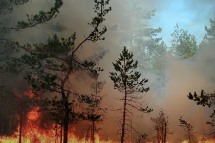 governo-de-sp-libera-r$-5,9-milhoes-para-combate-aos-incendios-com-aeronaves