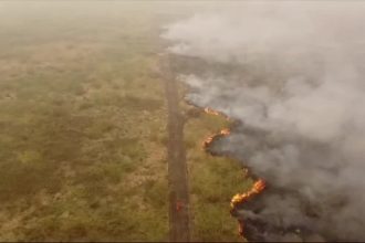 bolivia-declara-estado-de-emergencia-nacional-devido-a-incendios-florestais