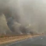 incendios-florestais:-autoridades-combatem-queimadas-e-prendem-suspeitos-em-go