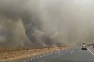 incendios-florestais:-autoridades-combatem-queimadas-e-prendem-suspeitos-em-go