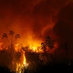 brasil-envia-62-bombeiros-para-combater-incendios-florestais-na-bolivia