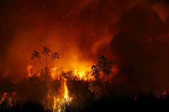 brasil-envia-62-bombeiros-para-combater-incendios-florestais-na-bolivia