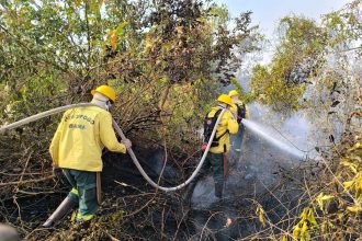 brasil-envia-bombeiros-para-combater-incendios-florestais-na-fronteira-com-bolivia