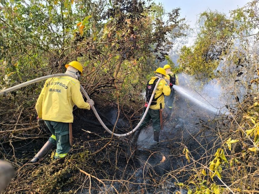 brasil-envia-bombeiros-para-combater-incendios-florestais-na-fronteira-com-bolivia