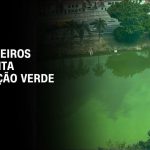 rio-pinheiros-apresenta-coloracao-verde-devido-a-estiagem-em-sp;-entenda