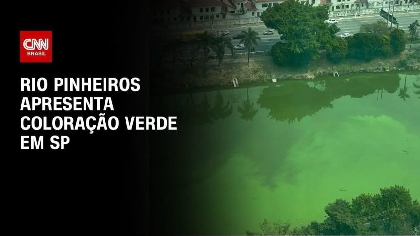 rio-pinheiros-apresenta-coloracao-verde-devido-a-estiagem-em-sp;-entenda