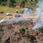 queimas-controladas-sao-suspensas-por-90-dias-no-parana-para-prevenir-incendios