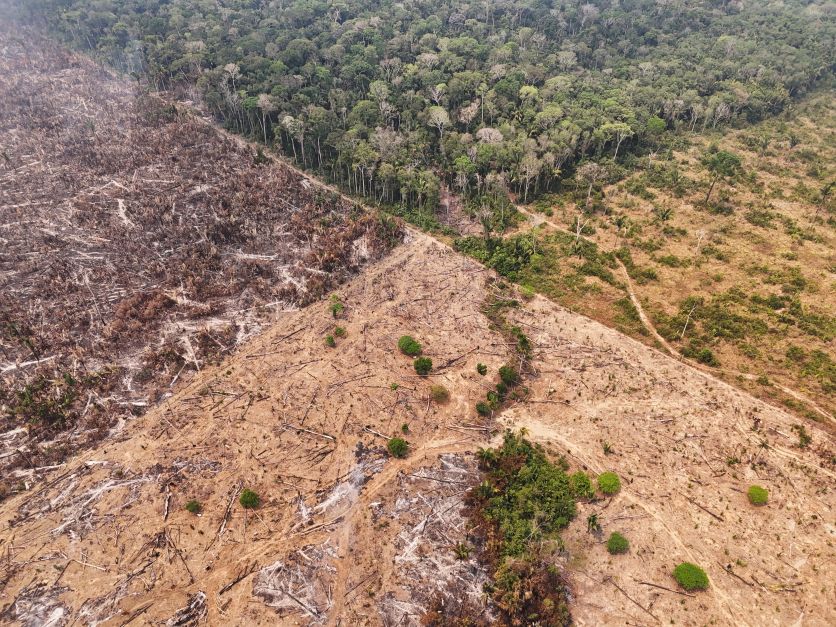 quase-40%-da-parte-mais-vital-da-floresta-amazonica-nao-esta-protegida,-aponta-ong