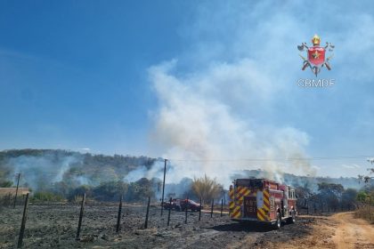 incendio-florestal-atinge-area-do-parque-ecologico-do-riacho-fundo-(df)