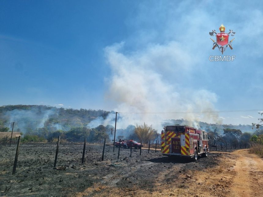 incendio-florestal-atinge-area-do-parque-ecologico-do-riacho-fundo-(df)