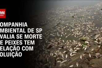 governo-de-sp-retira-500-kg-de-peixes-encontrados-mortos-na-represa-billings