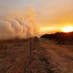 calor-se-intensifica-e-pelo-menos-18-cidades-de-sao-paulo-registram-focos-de-incendio