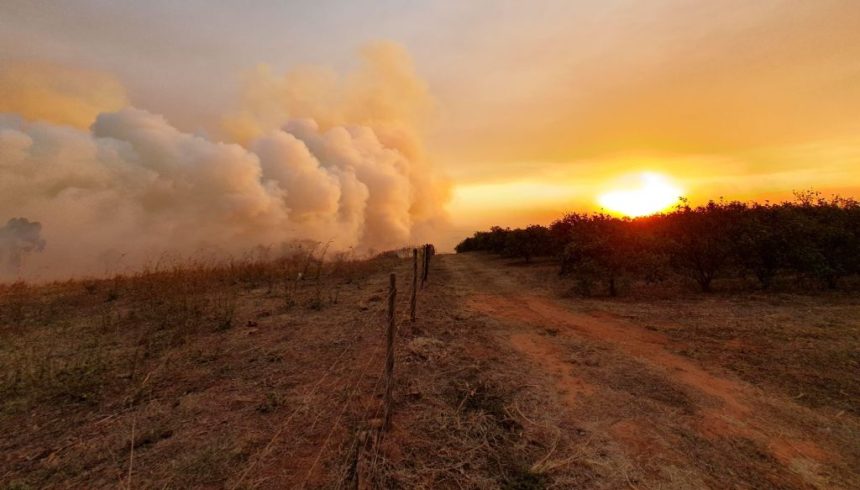 calor-se-intensifica-e-pelo-menos-18-cidades-de-sao-paulo-registram-focos-de-incendio