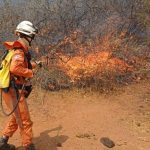 bahia-enfrenta-vendavais,-seca-e-focos-de-incendio-em-cinco-cidades