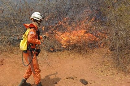 bahia-enfrenta-vendavais,-seca-e-focos-de-incendio-em-cinco-cidades