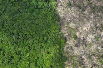 pesquisador-explica-risco-de-“nova-pandemia”-em-caso-de-abertura-de-reservatorio-do-amazonas