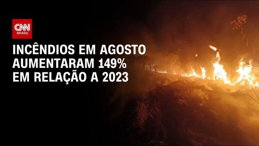 sao-paulo-esta-ha-quase-um-mes-com-focos-de-incendios,-diz-defesa-civil