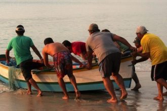 falso-boleto-de-custos:-pescadores-do-parana-sao-alvo-de-golpe-em-processos-judiciais