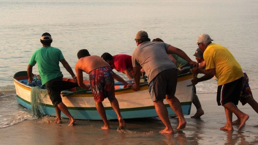 falso-boleto-de-custos:-pescadores-do-parana-sao-alvo-de-golpe-em-processos-judiciais