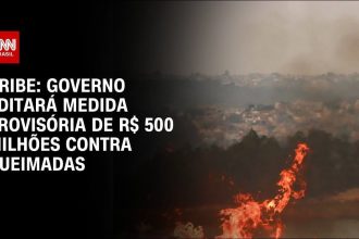 incendios-reabrem-polemica-sobre-quimica-do-“retardante-de-chama”-em-florestas