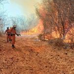 com-clima-desfavoravel,-incendio-persiste-ha-um-mes-no-oeste-da-bahia