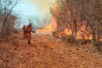 com-clima-desfavoravel,-incendio-persiste-ha-um-mes-no-oeste-da-bahia