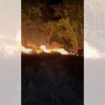 rio-de-janeiro-registra-mais-de-16-mil-incendios-florestais-em-2024