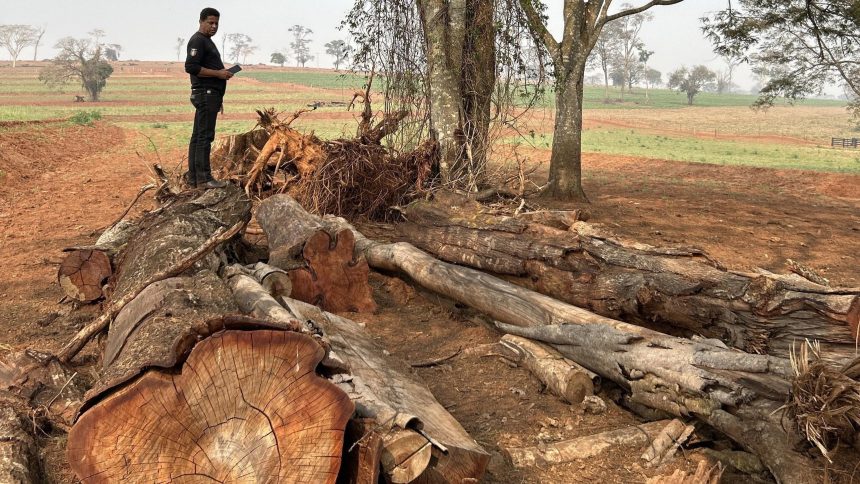 multa-ambiental-de-mais-de-r$-400-mil-e-aplicada-apos-denuncia-anonima-no-pr