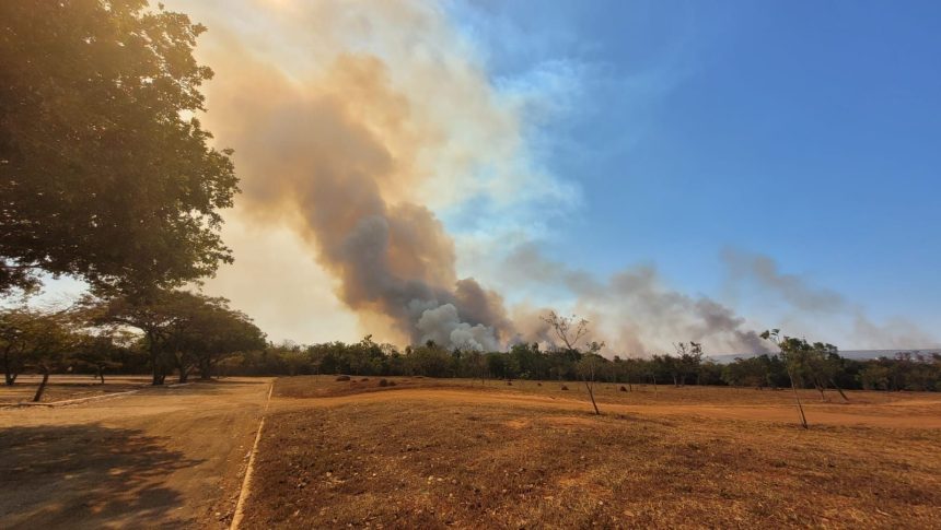 incendio-de-grandes-proporcoes-atinge-parque-nacional-de-brasilia