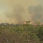 incendio-no-parque-nacional-de-brasilia-tem-risco-de-se-espalhar,-diz-icmbio