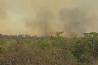 incendio-no-parque-nacional-de-brasilia-tem-risco-de-se-espalhar,-diz-icmbio