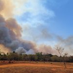 pf-abre-inquerito-para-apurar-incendio-no-parque-nacional-de-brasilia