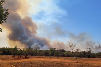 pf-abre-inquerito-para-apurar-incendio-no-parque-nacional-de-brasilia