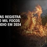 amazonas-tem-mais-de-3-mil-casos-de-srag:-entenda-como-queimadas-contribuem